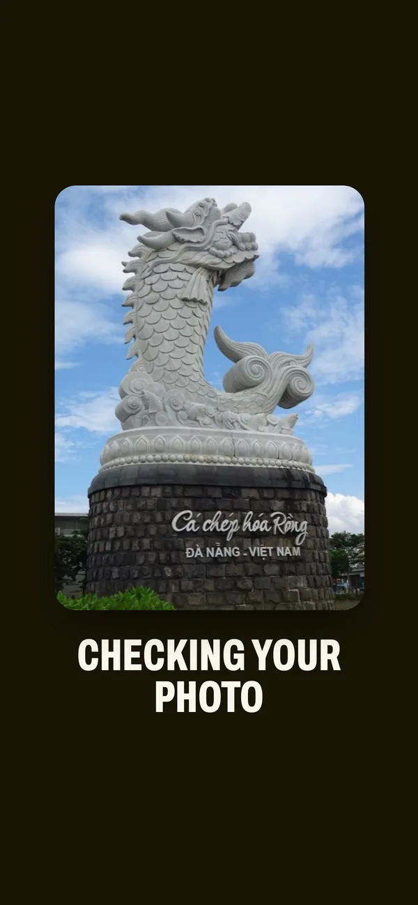 Checking your photo.